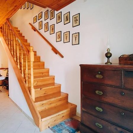 הוילה Retro Wooden House גאיוס מראה חיצוני תמונה